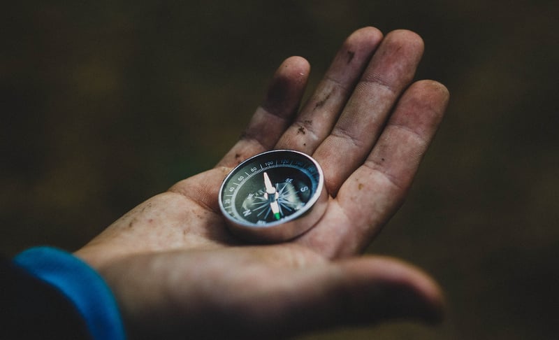 Wilderness Exploration