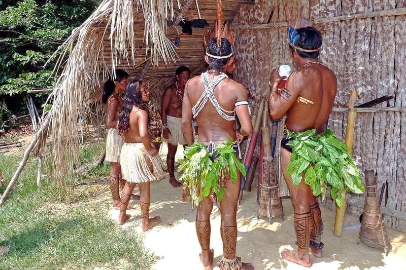 Amazon Rainforest